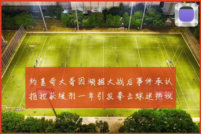 约基奇大哥因湖掘大战后事件承认指控获缓刑一年引发拳击球迷热议