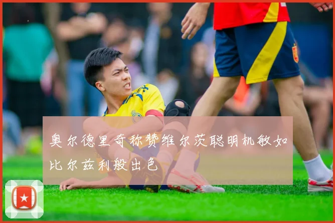 奥尔德里奇称赞维尔茨聪明机敏如比尔兹利般出色