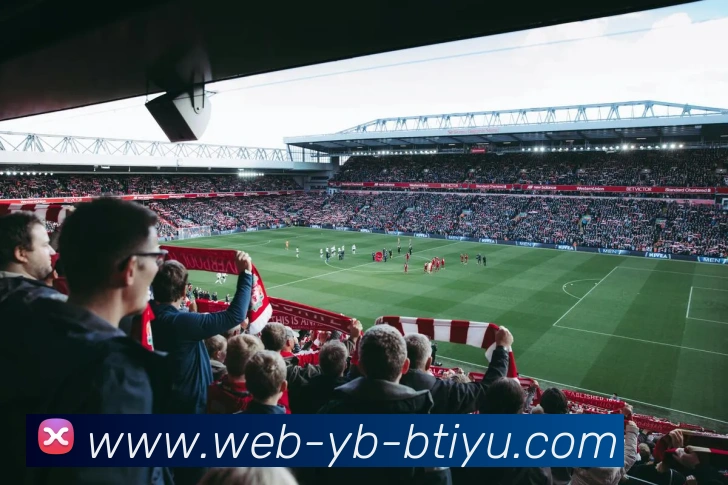 App Interface Preview