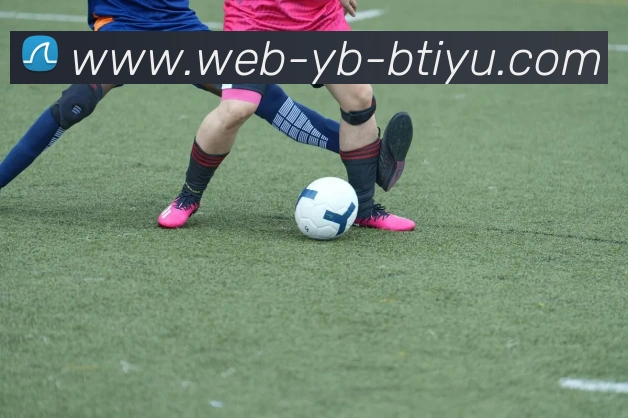 B体育APP 封面图